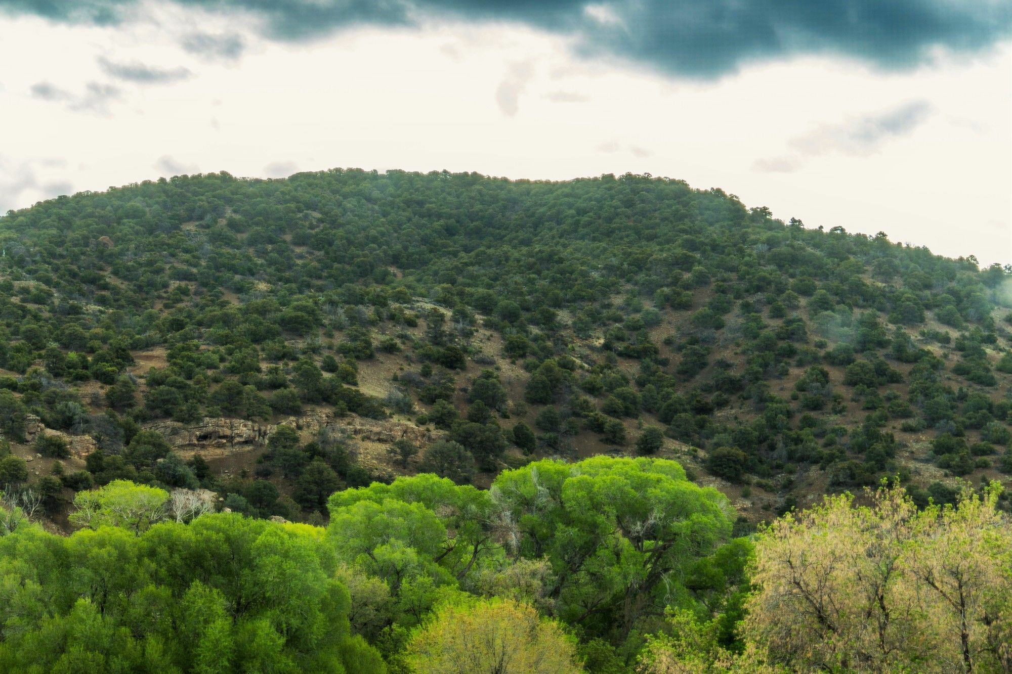 Blue Sky Retreat At San Geronimo Lodge Таос Экстерьер фото